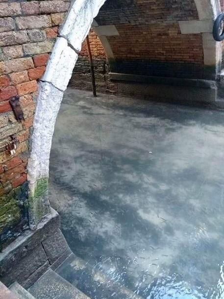 Коронавирус — последнее китайское предупреждение?